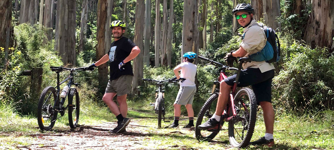 Bikers on a trail